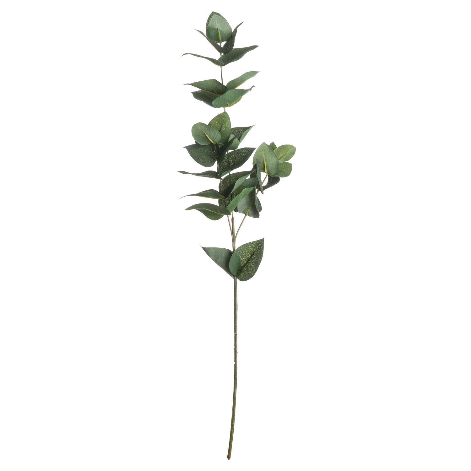 Eucalyptus Filler 60 cm