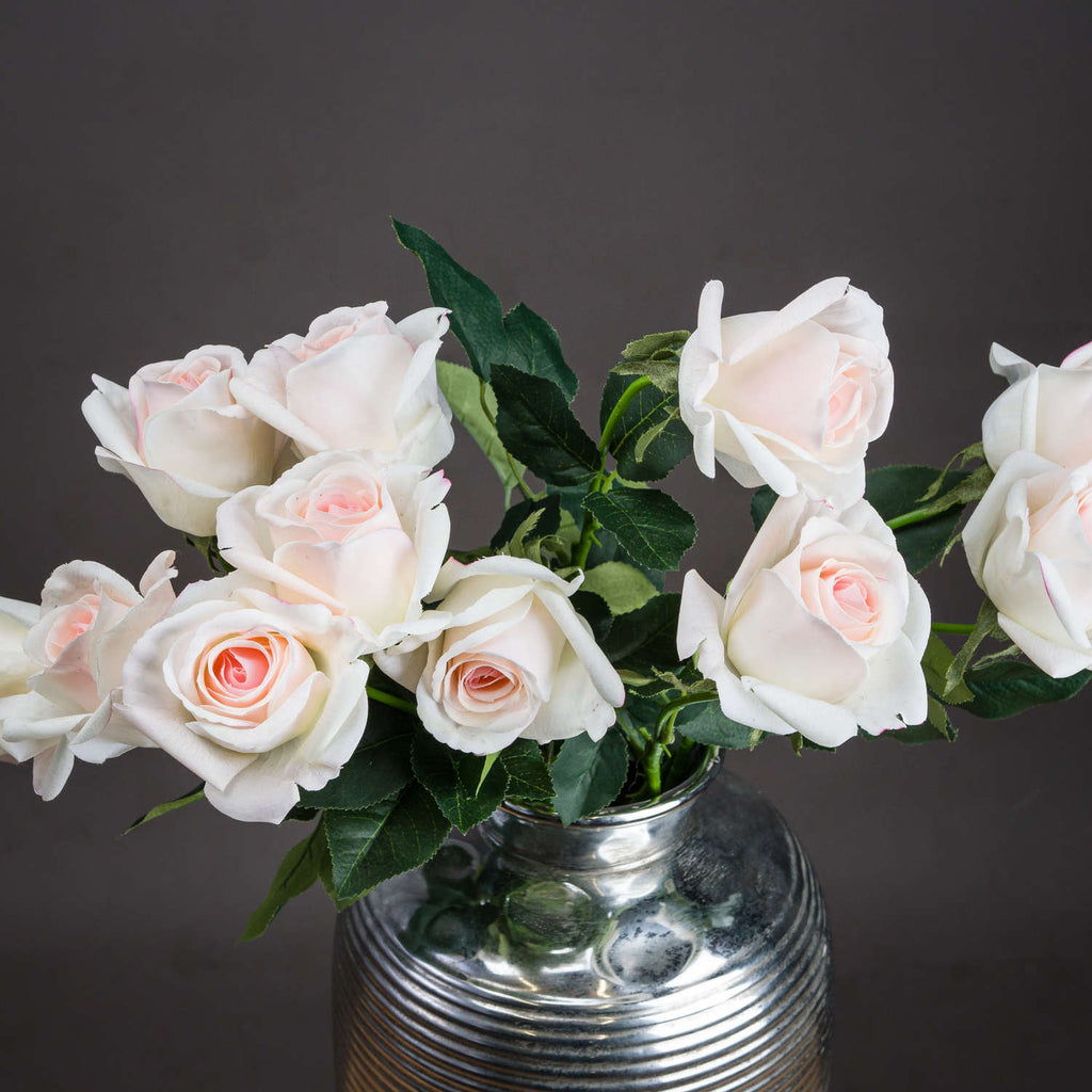 Palest Pink Tea Rose 65 cm