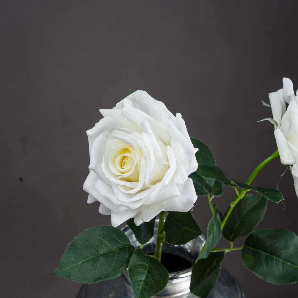 Large White Garden Rose 75 cm