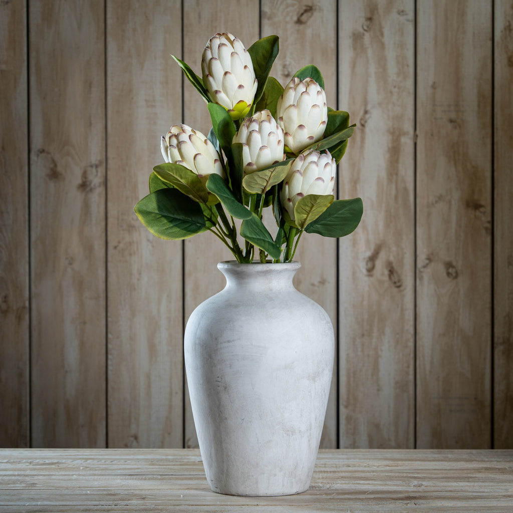 Closed White Protea 67 cm