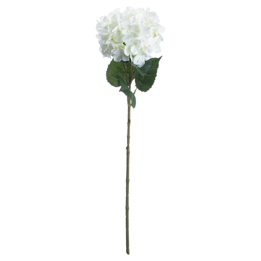 Single White Hydrangea 70 cm