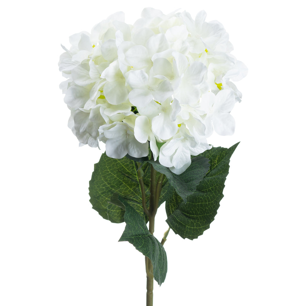 Single White Hydrangea 70 cm