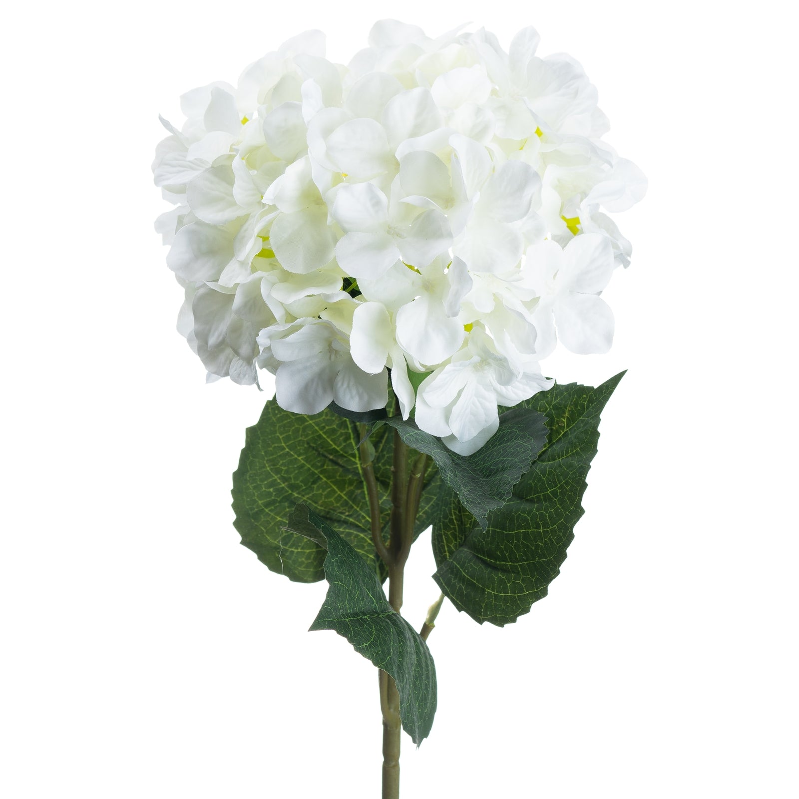 Single White Hydrangea 70 cm