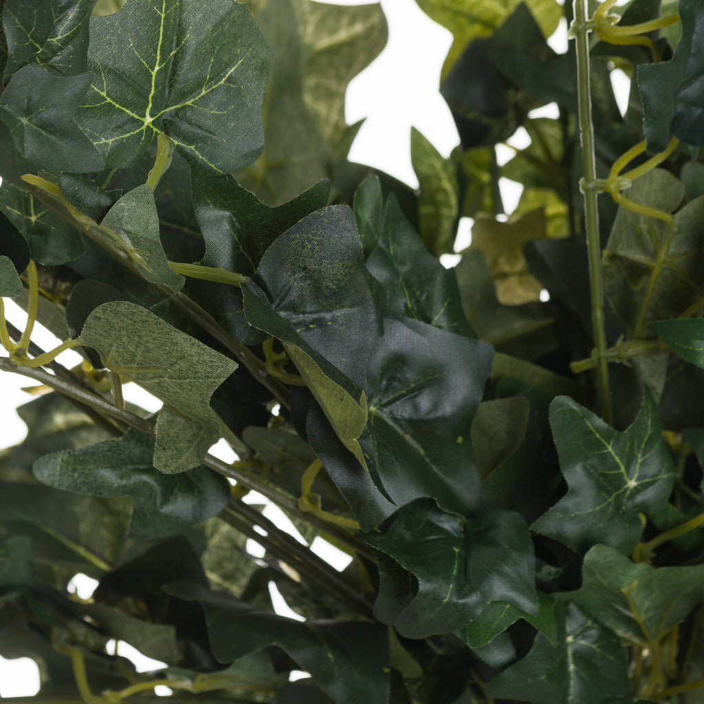 Ivy Pick 85 cm