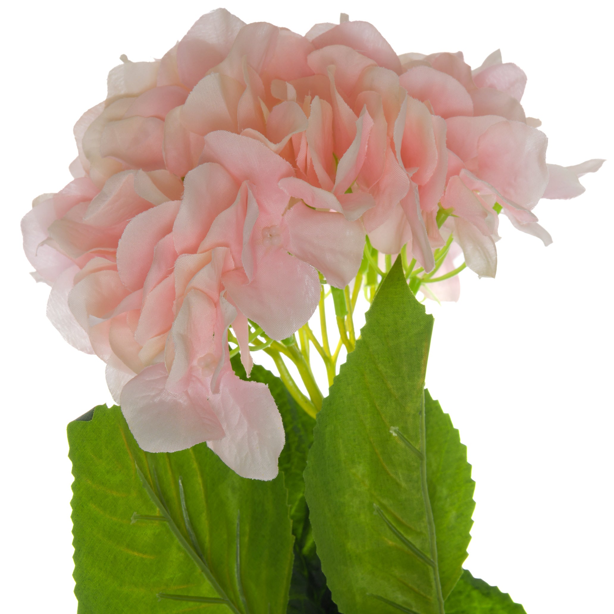 Single Pink Hydrangea 70 cm