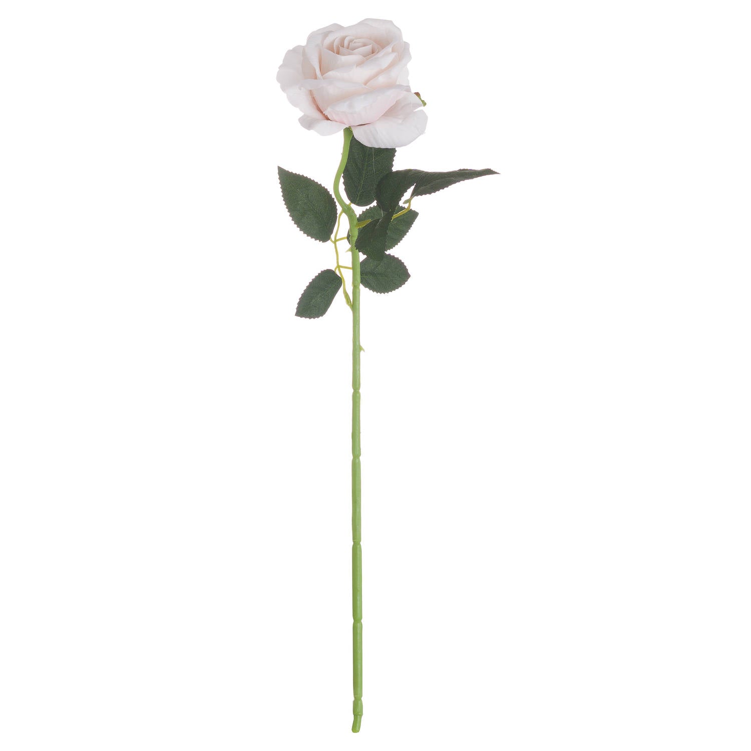Pastel Pink Tea Rose 53 cm