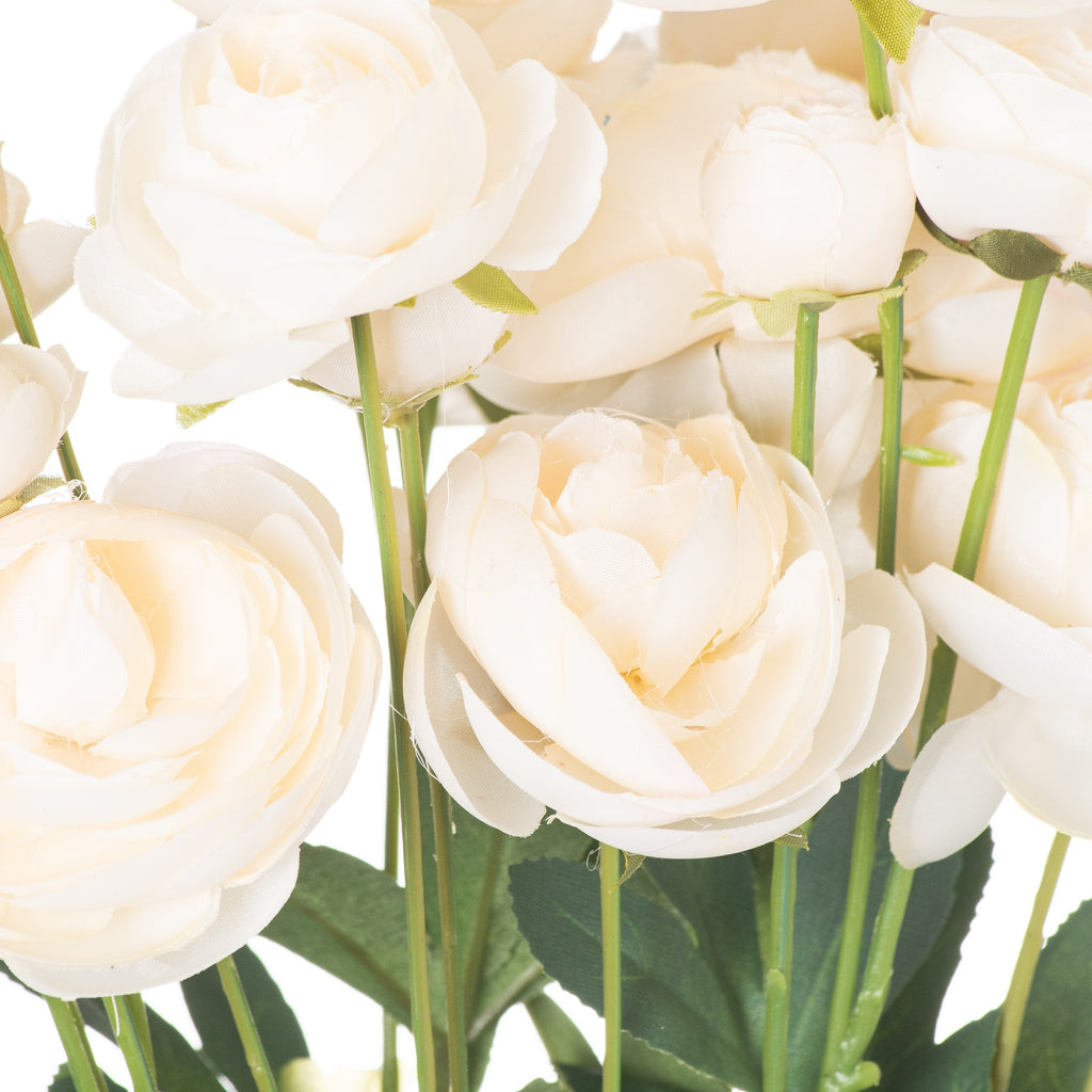 Cream Ranunculus 80 cm