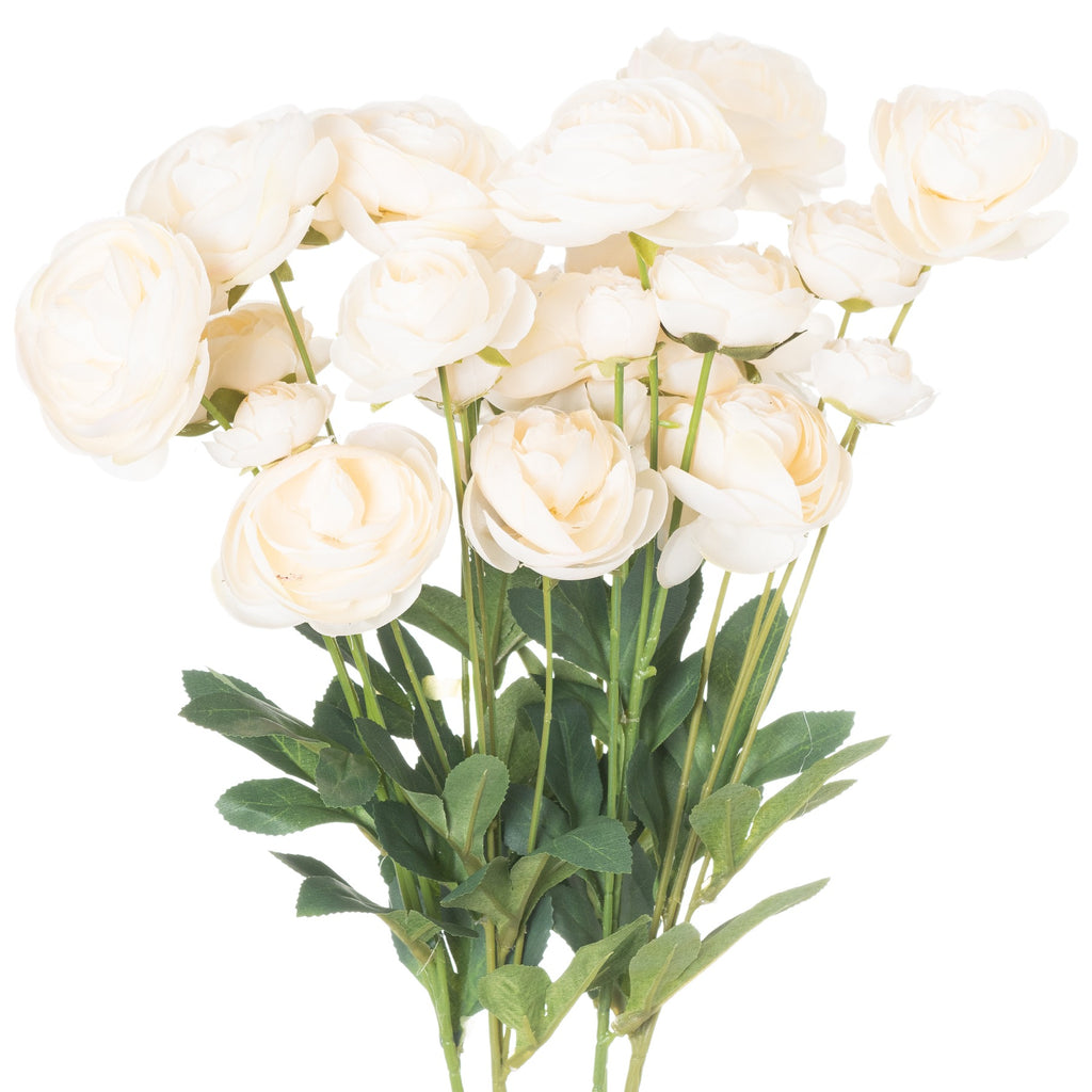 Cream Ranunculus 80 cm