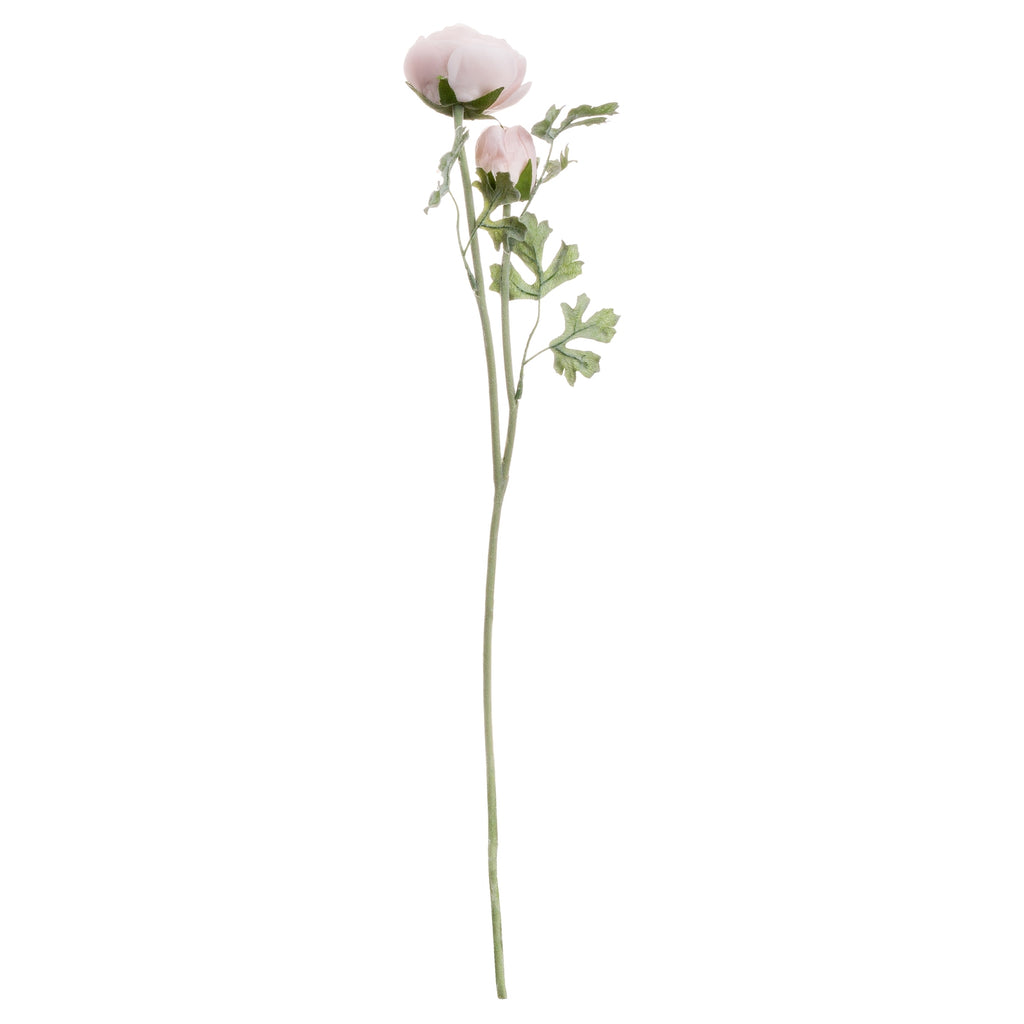 Pastel Pink Ranunculus 58 cm