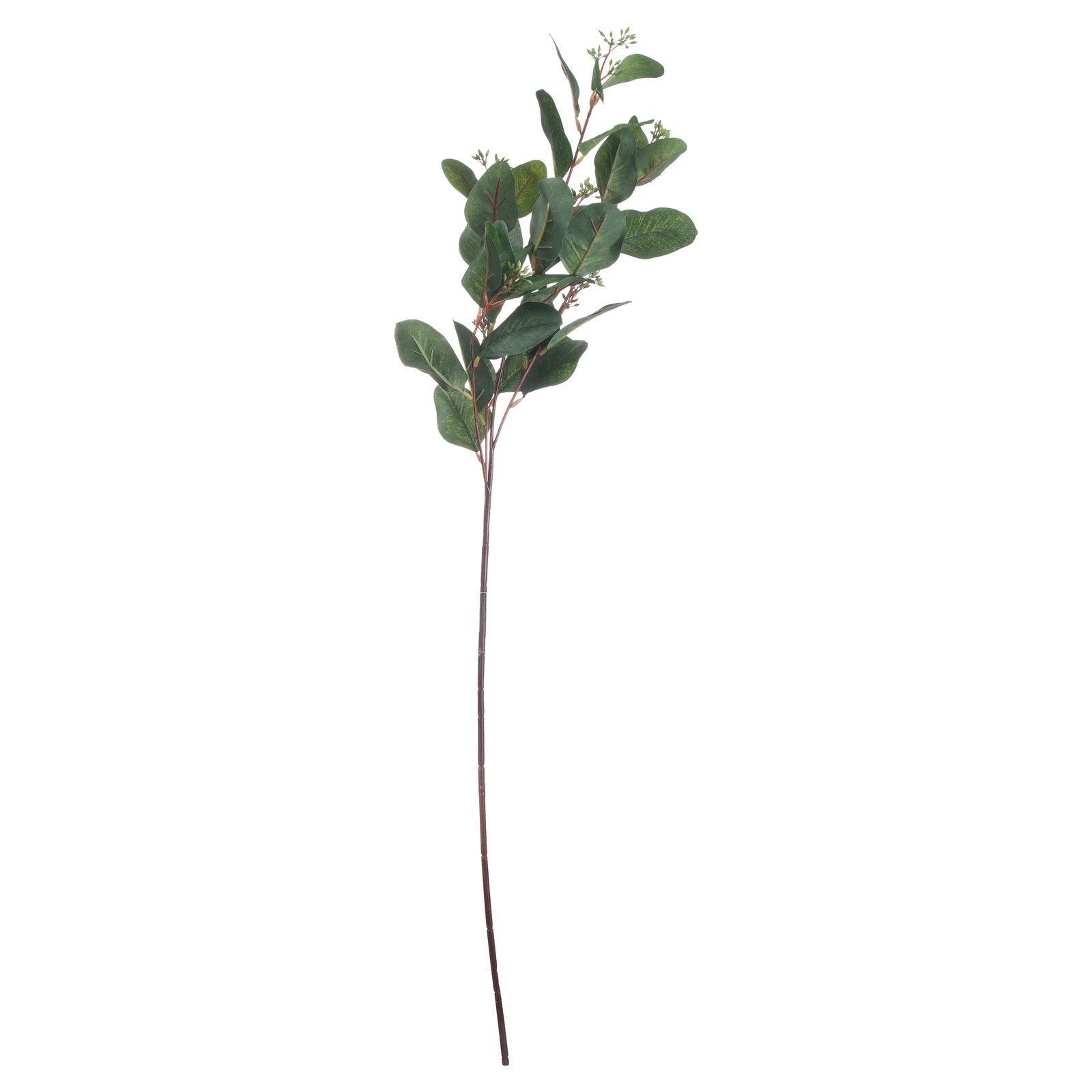 Summer Seeded Eucalyptus 80 cm