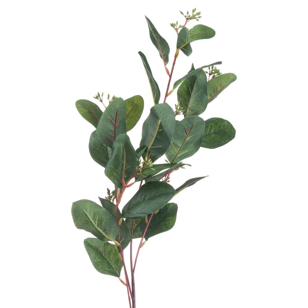 Summer Seeded Eucalyptus 80 cm