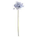 Light Blue Large Headed Agapanthus 71 cm
