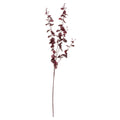 Deep Burgundy Orchid Spray 91 cm