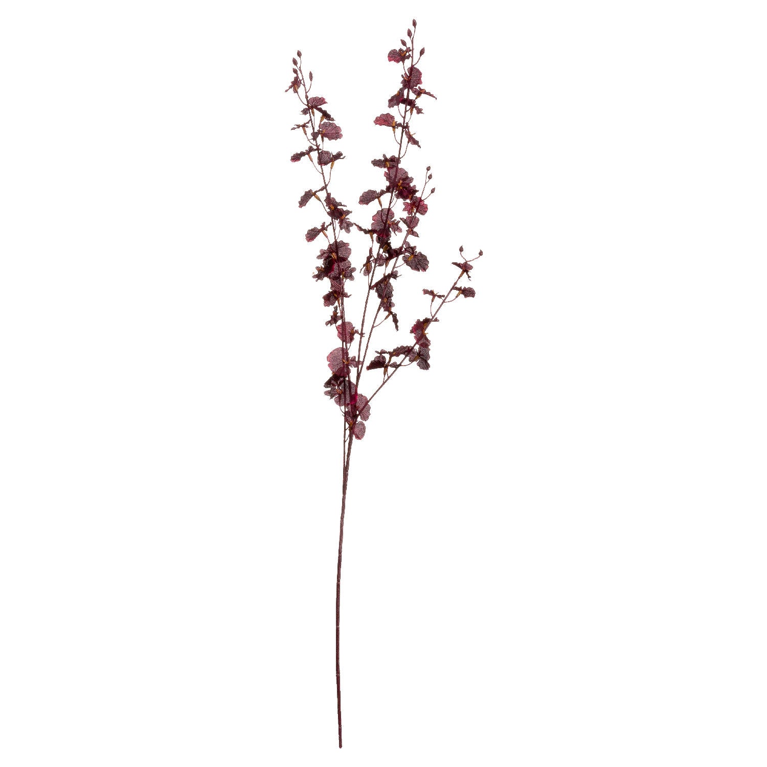 Deep Burgundy Orchid Spray 91 cm