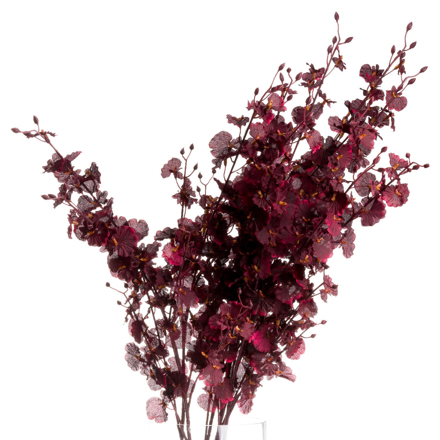 Deep Burgundy Orchid Spray 91 cm