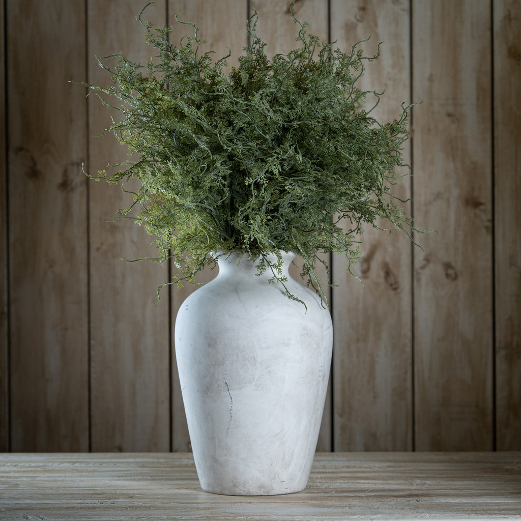Asparagus Fern Bunch 57 cm