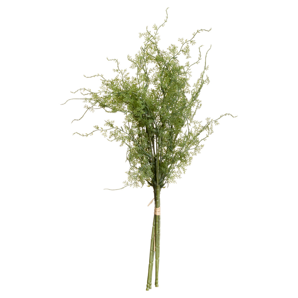 Asparagus Fern Bunch 57 cm