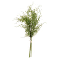 Asparagus Fern Bunch 57 cm