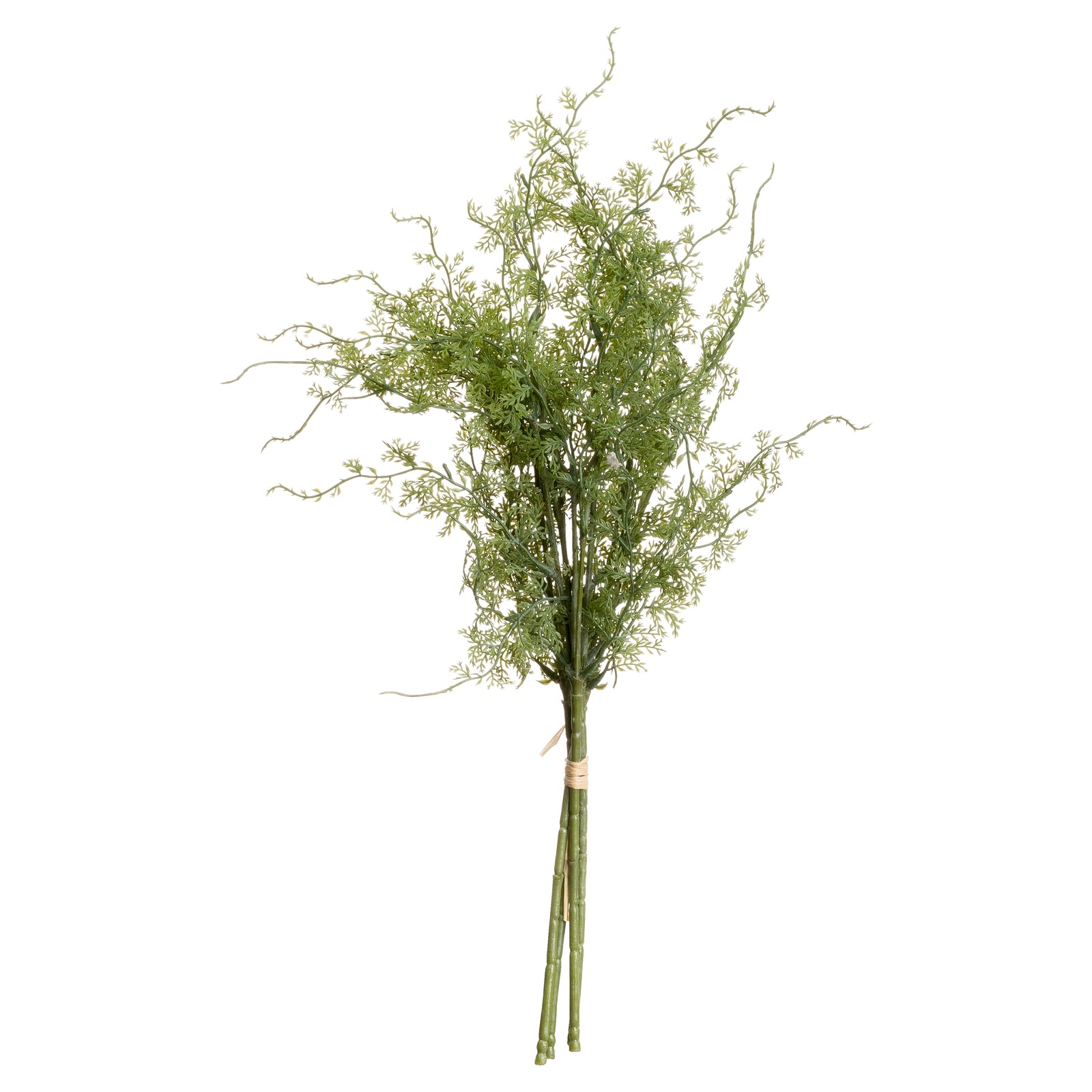 Asparagus Fern Bunch 57 cm