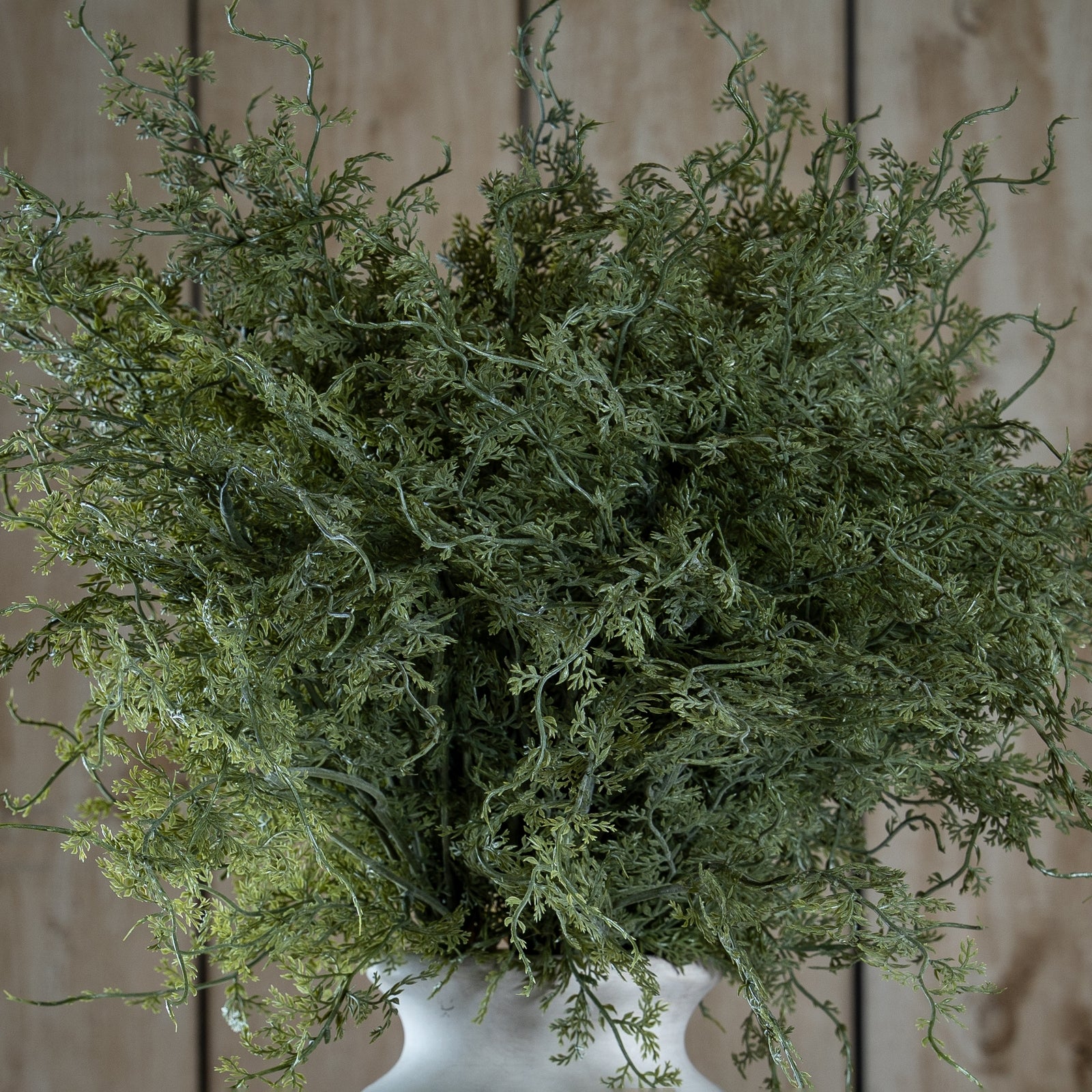 Asparagus Fern Bunch 57 cm