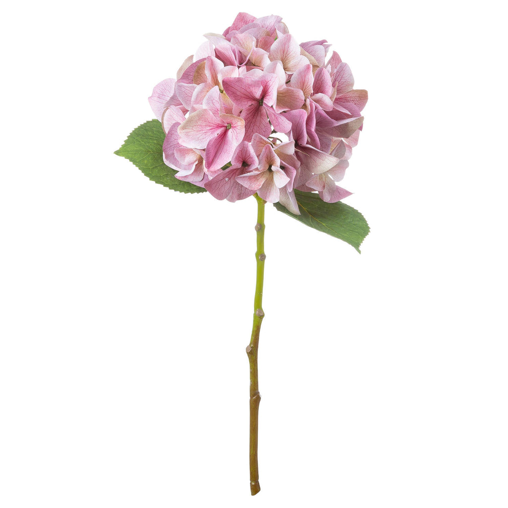 Shabby Pink Single Hydrangea 50 cm