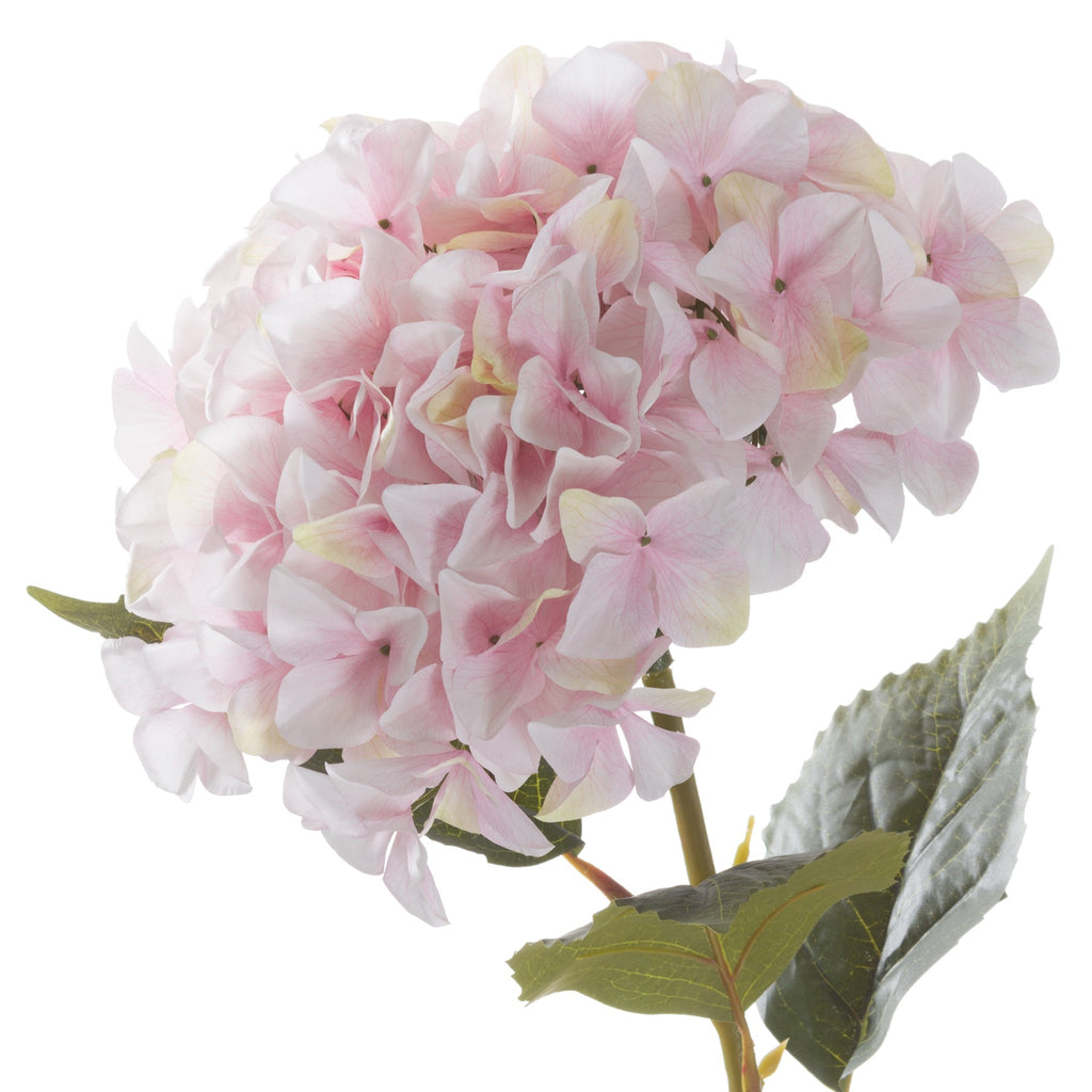 Giant Pink Hydrangea 115 cm