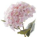 Giant Pink Hydrangea 115 cm