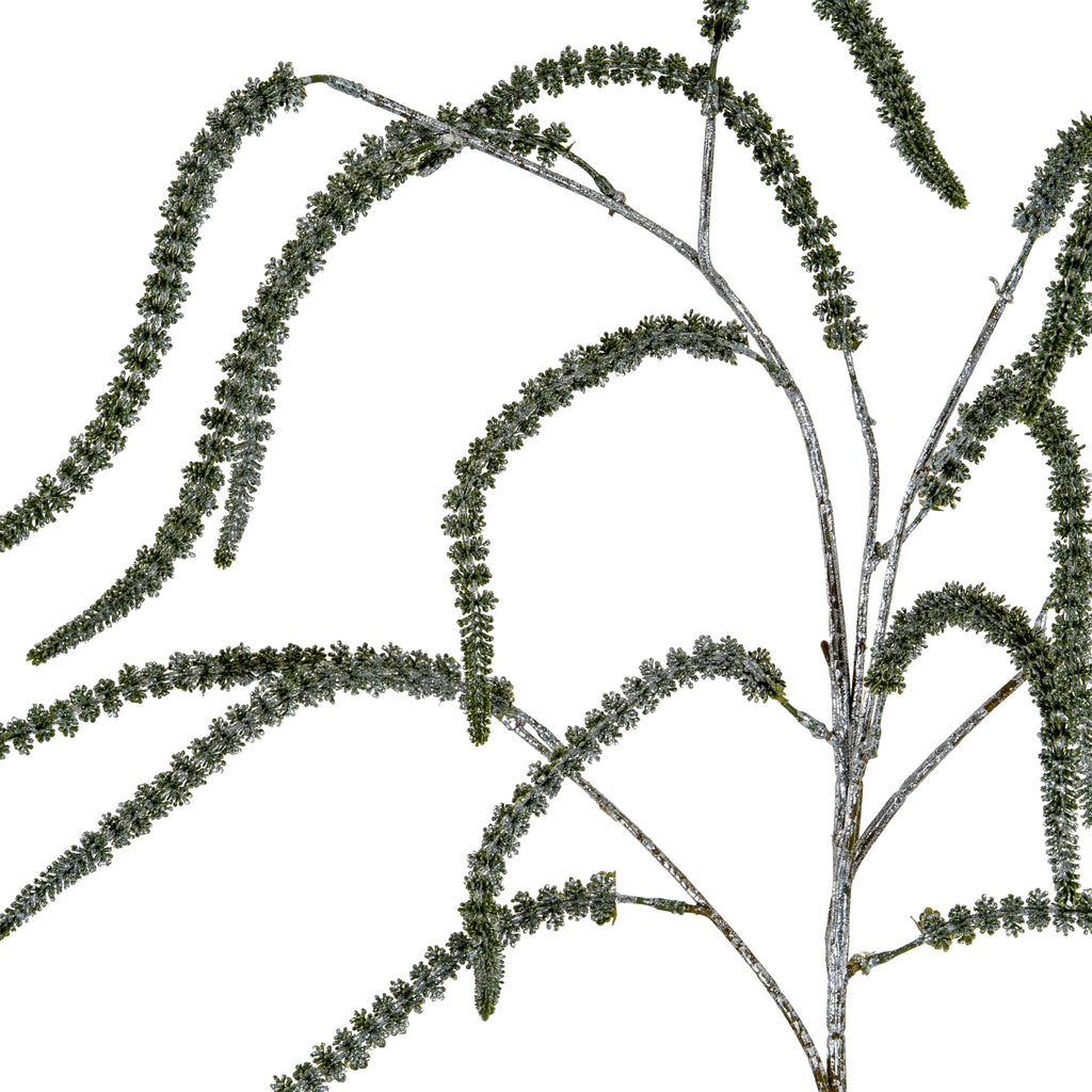 Festive Amaranthus 108 cm