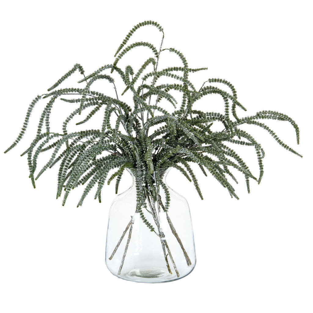 Festive Amaranthus 108 cm