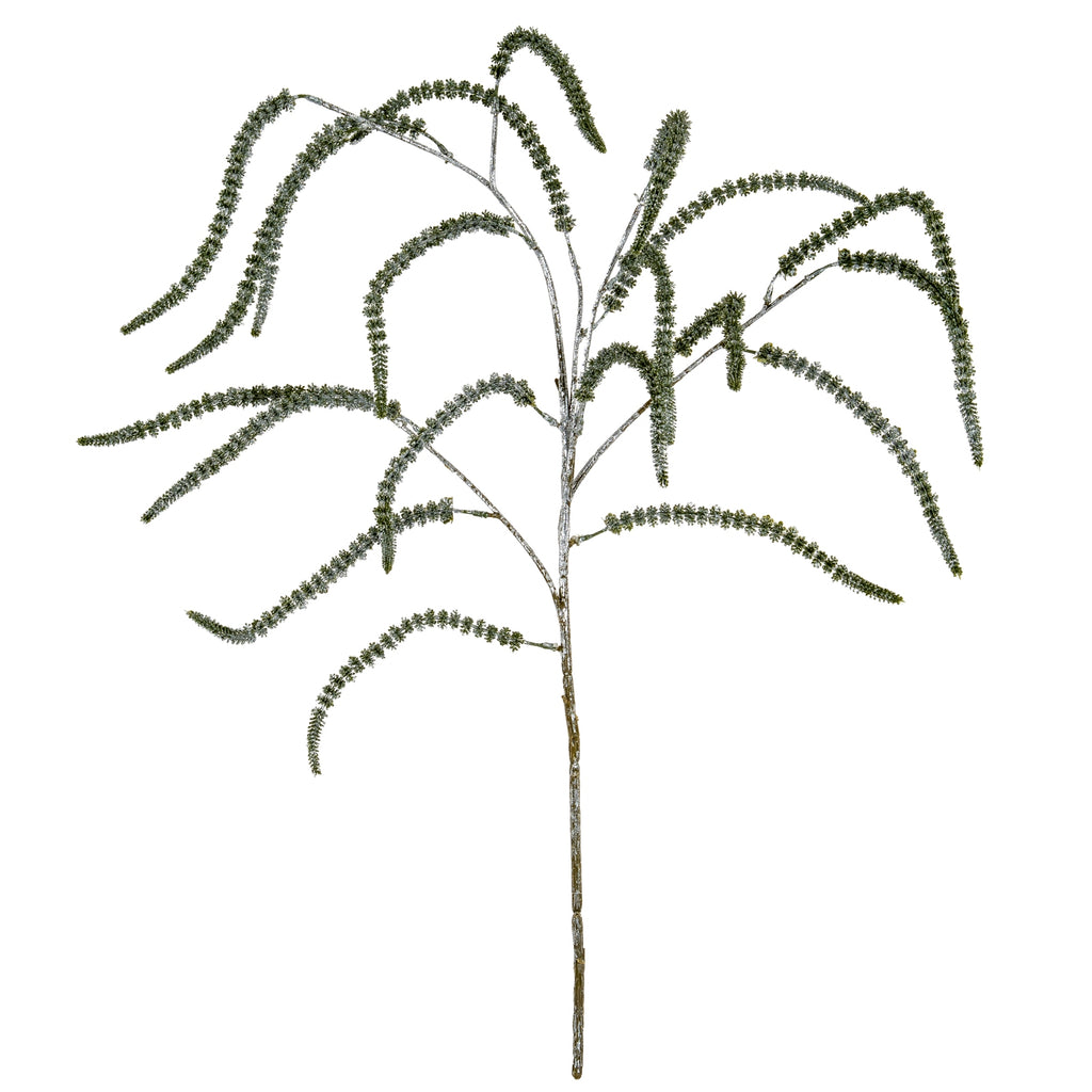 Festive Amaranthus 108 cm