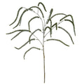 Festive Amaranthus 108 cm