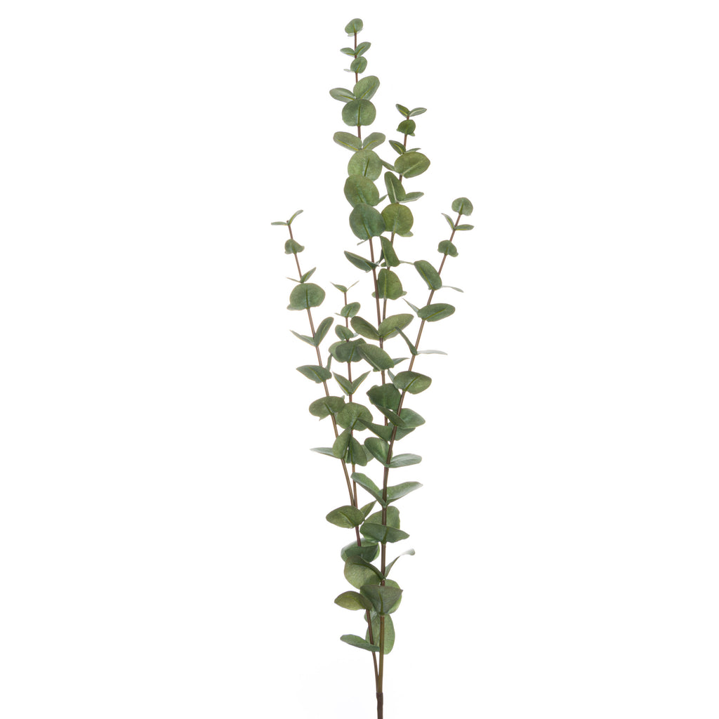 Large Cineraria Eucalyptus Spray 110 cm