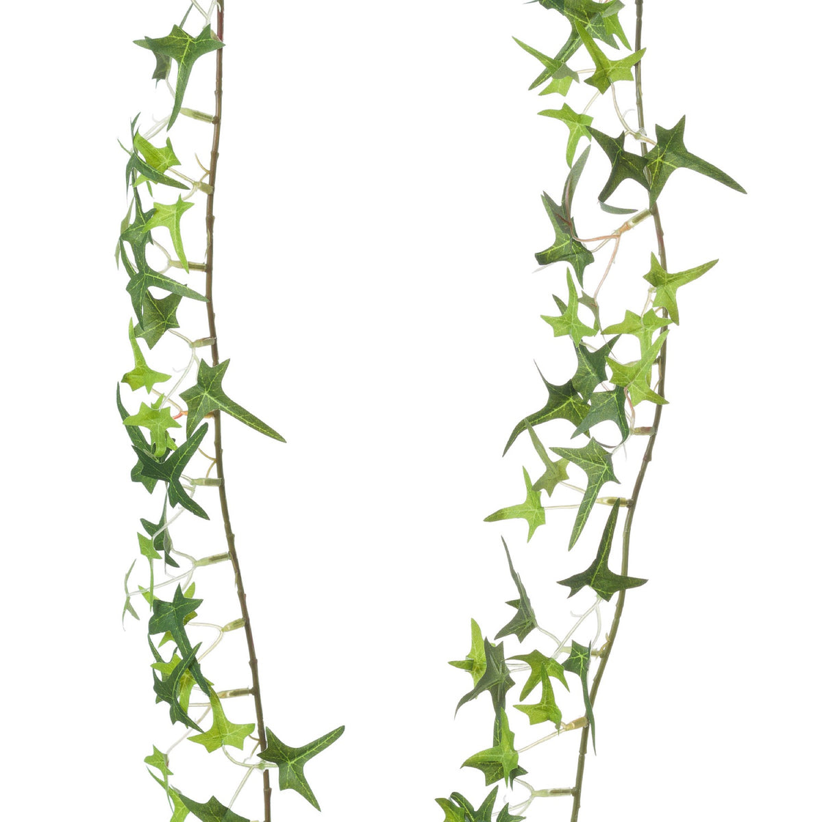Small Ivy Garland 170 cm