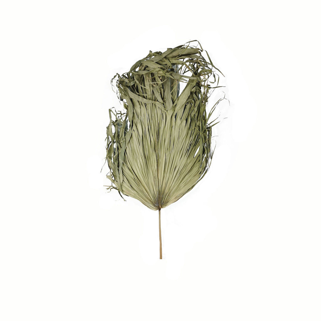 Dried Sun Big Palm 95 cm