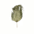 Dried Sun Big Palm 95 cm