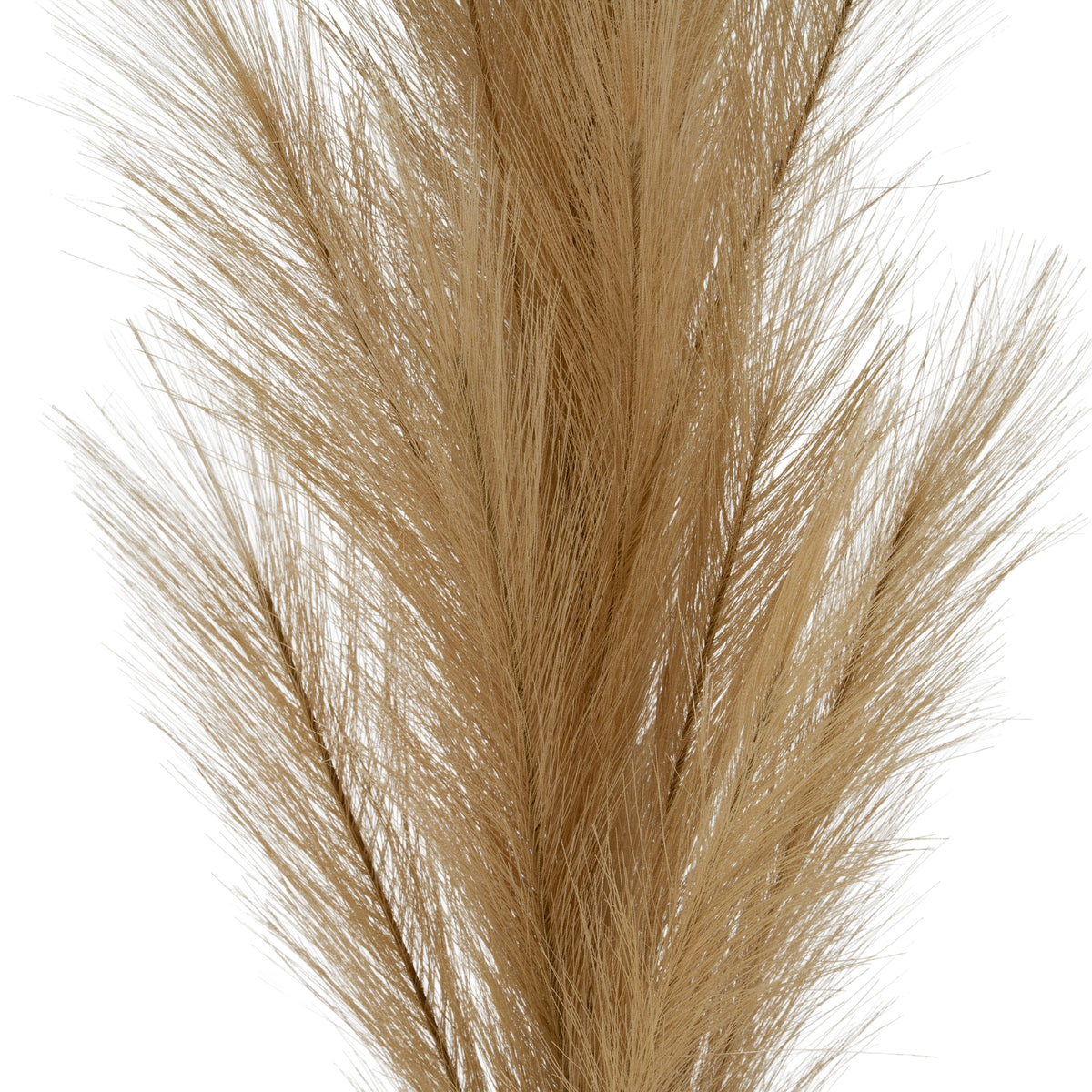 Large Faux Pampas Grass Stem 120 cm