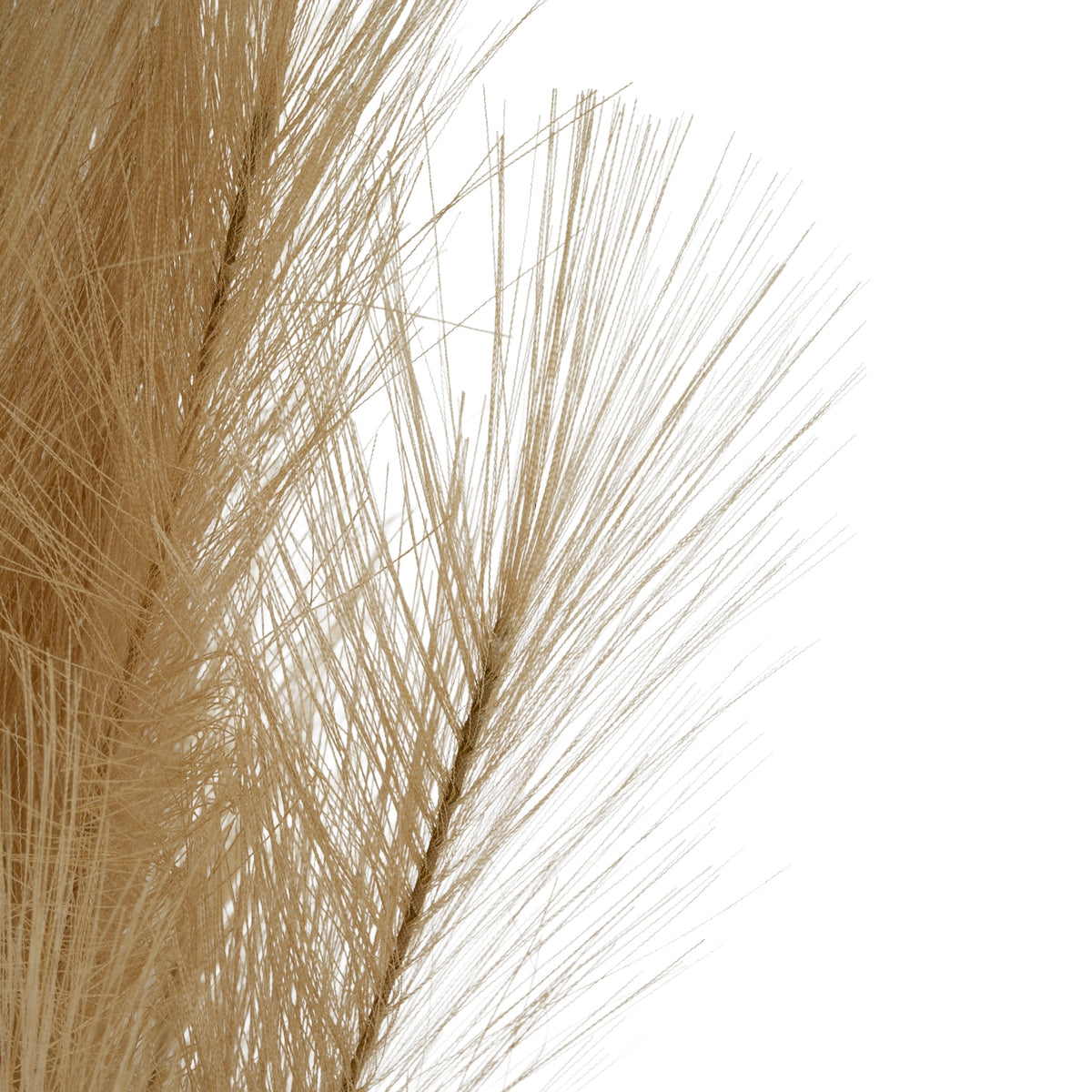 Large Faux Pampas Grass Stem 120 cm