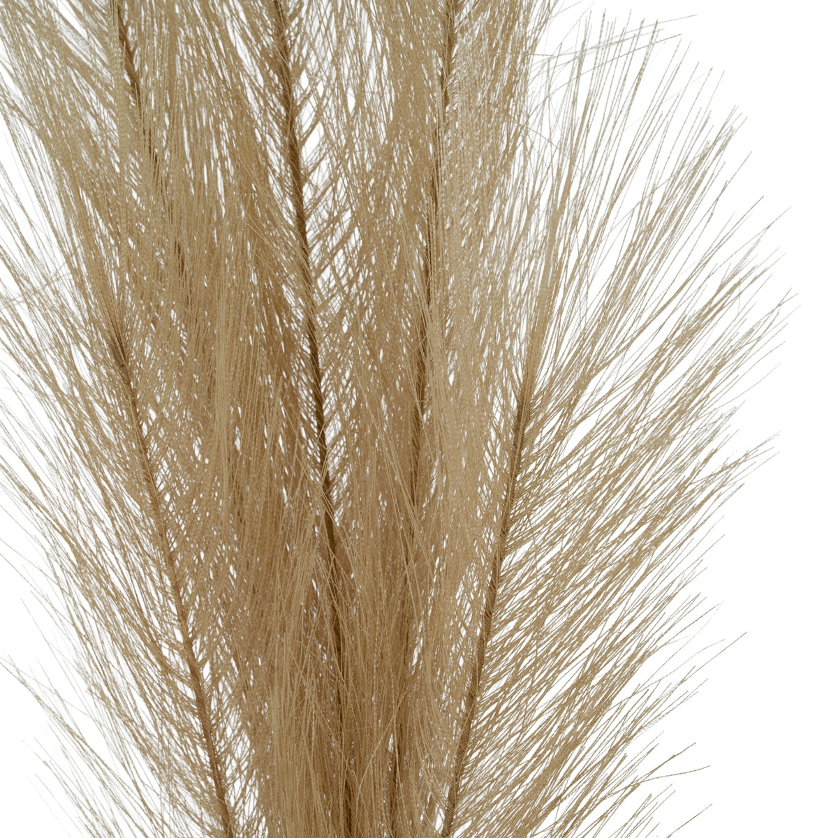 Faux Pampas Grass Stem 85 cm