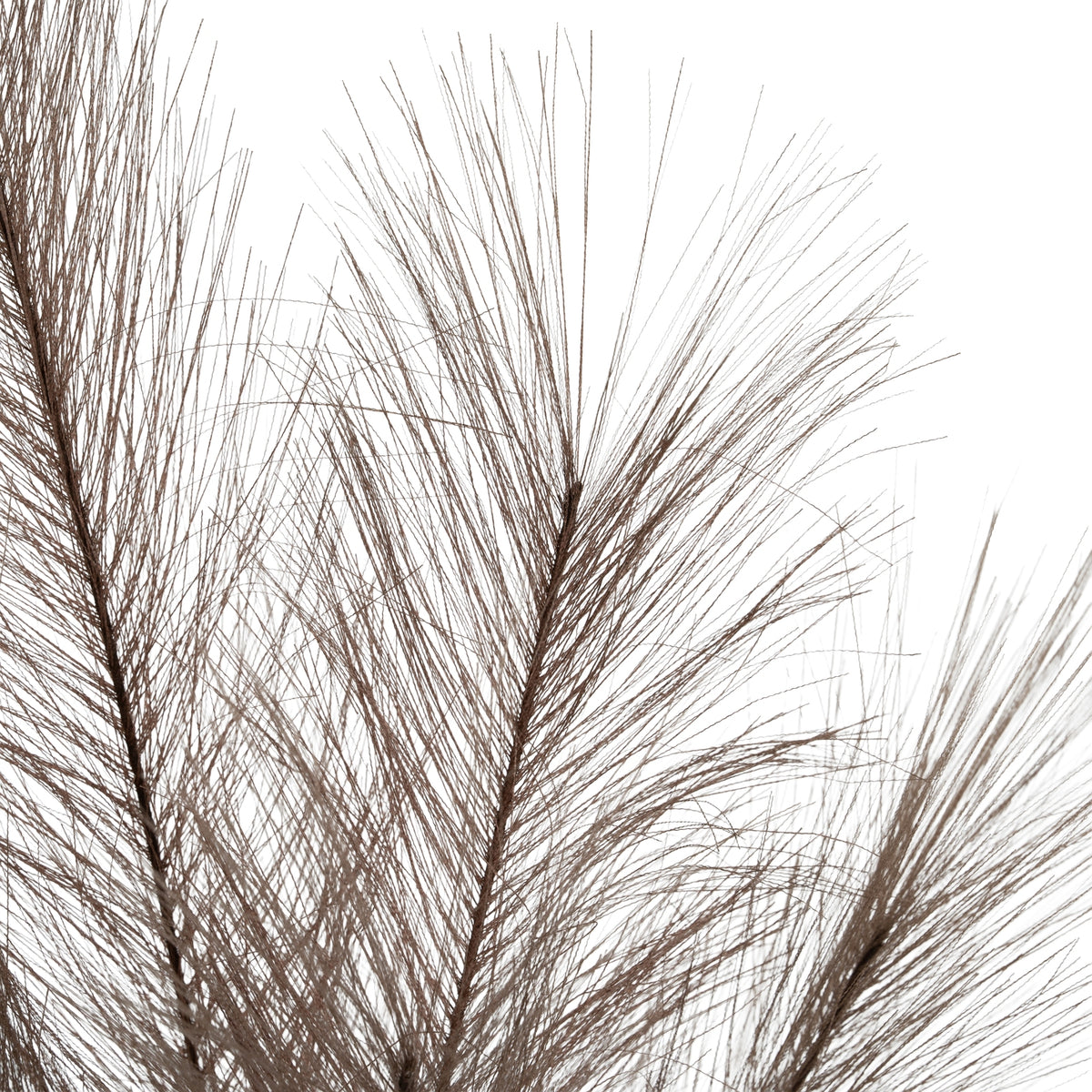 Grey Faux Pampas Grass Stem 85 cm