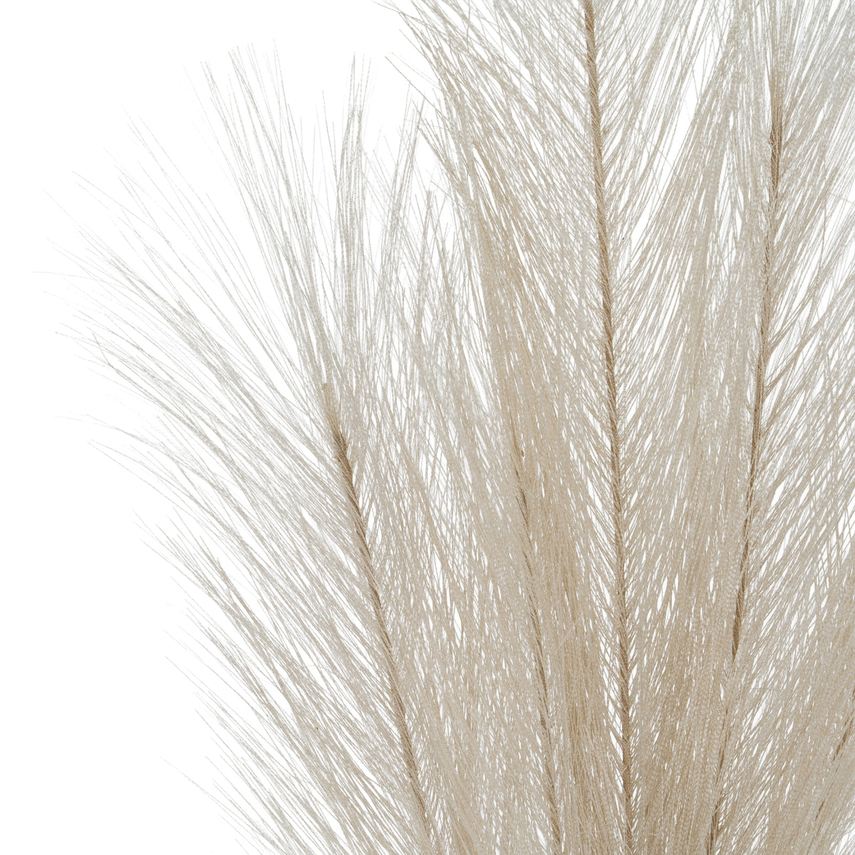 Bleached  Large Faux Pampas Grass Stem 120 cm