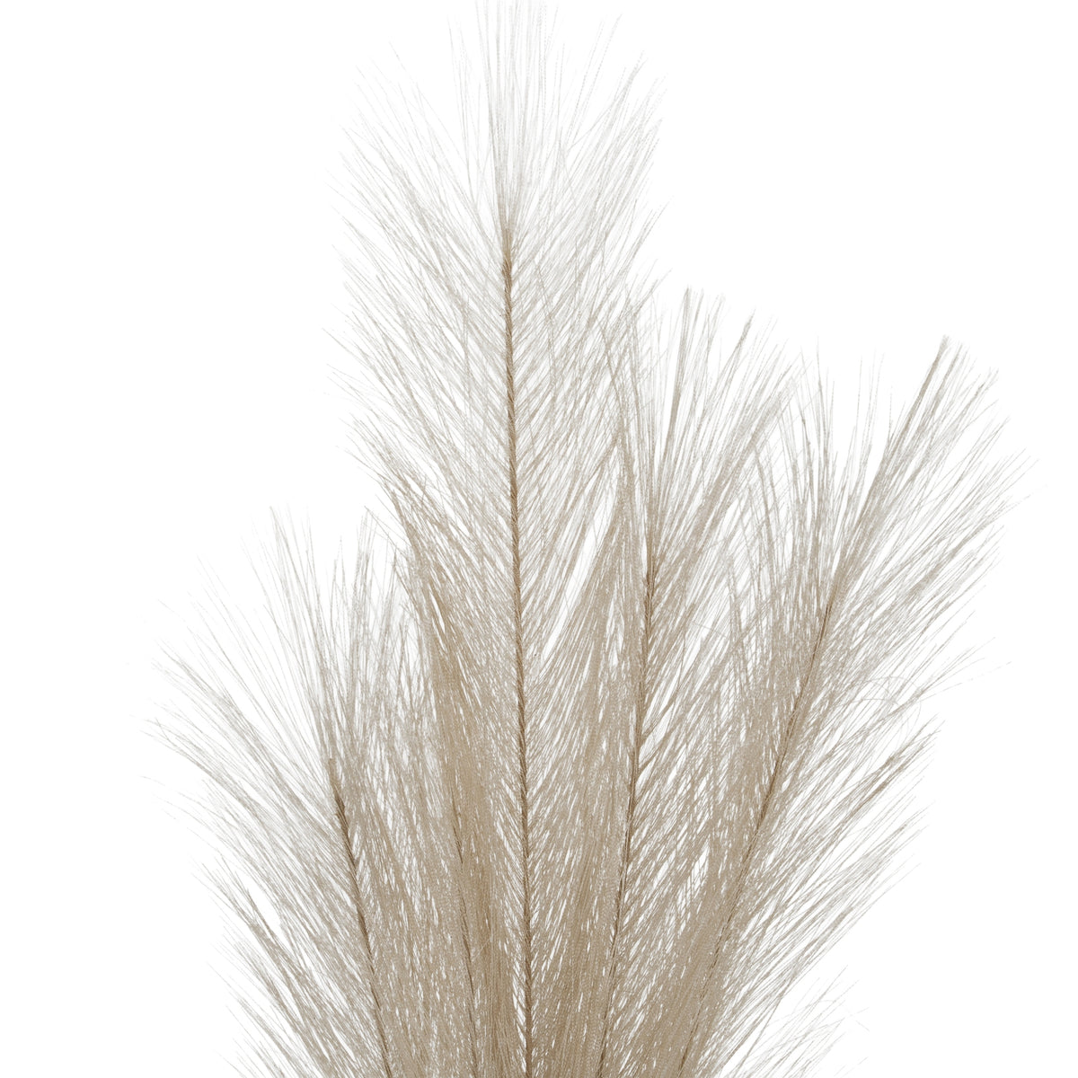 Bleached  Large Faux Pampas Grass Stem 120 cm