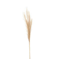 Bleached Faux Pampas Grass Stem 85 cm