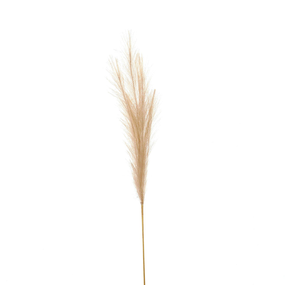 Bleached Faux Pampas Grass Stem 85 cm