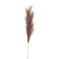 Taupe Large Faux Pampas Grass Stem 120 cm