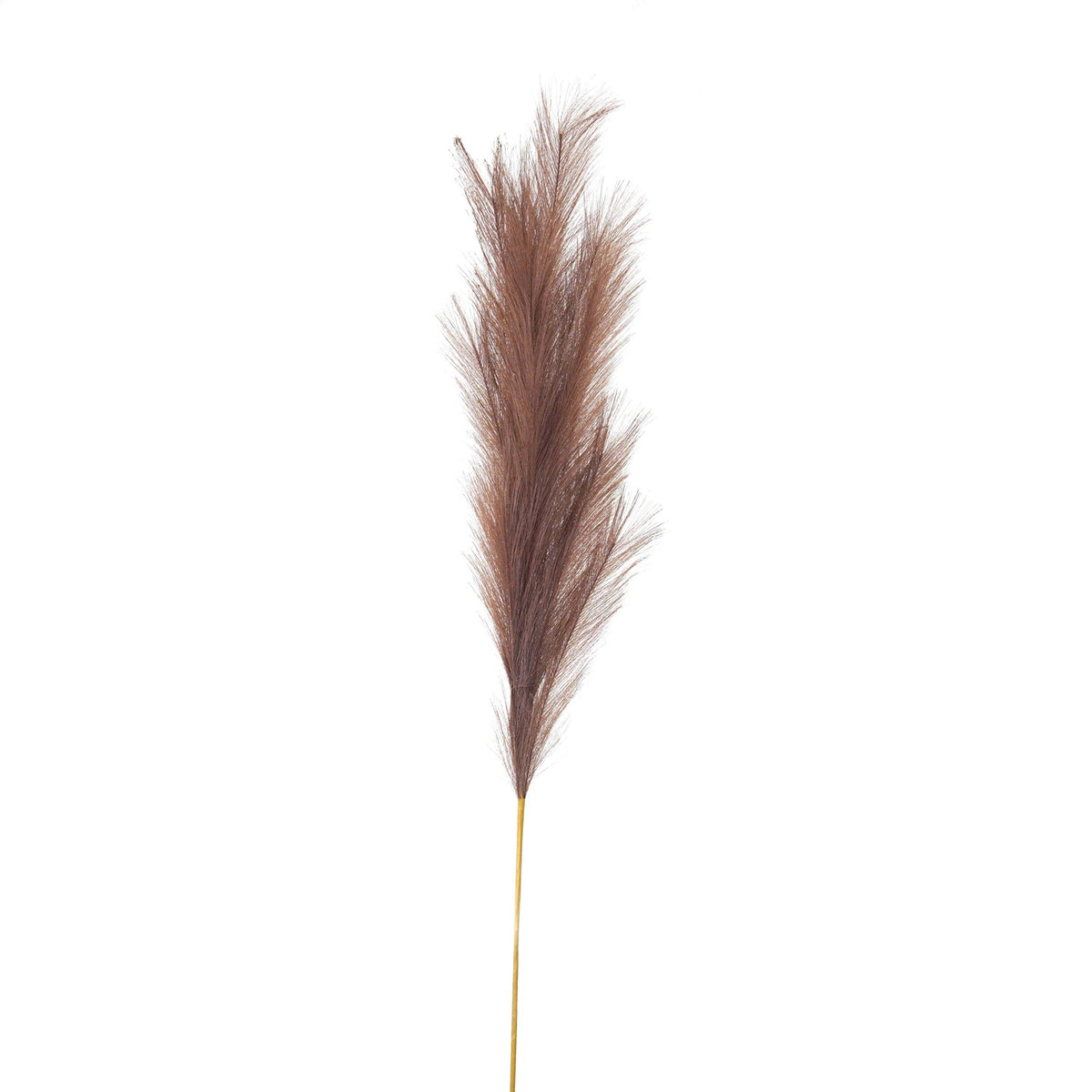 Taupe Large Faux Pampas Grass Stem 120 cm