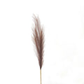 Taupe Faux Pampas Grass Stem 85 cm