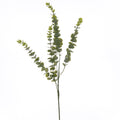 Gunnii Eucalyptus Spray 90 cm