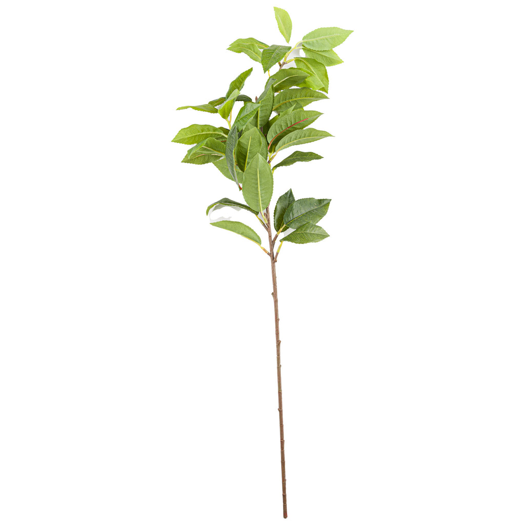 Laurel Leaf Spray 60 cm