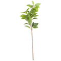Laurel Leaf Spray 60 cm