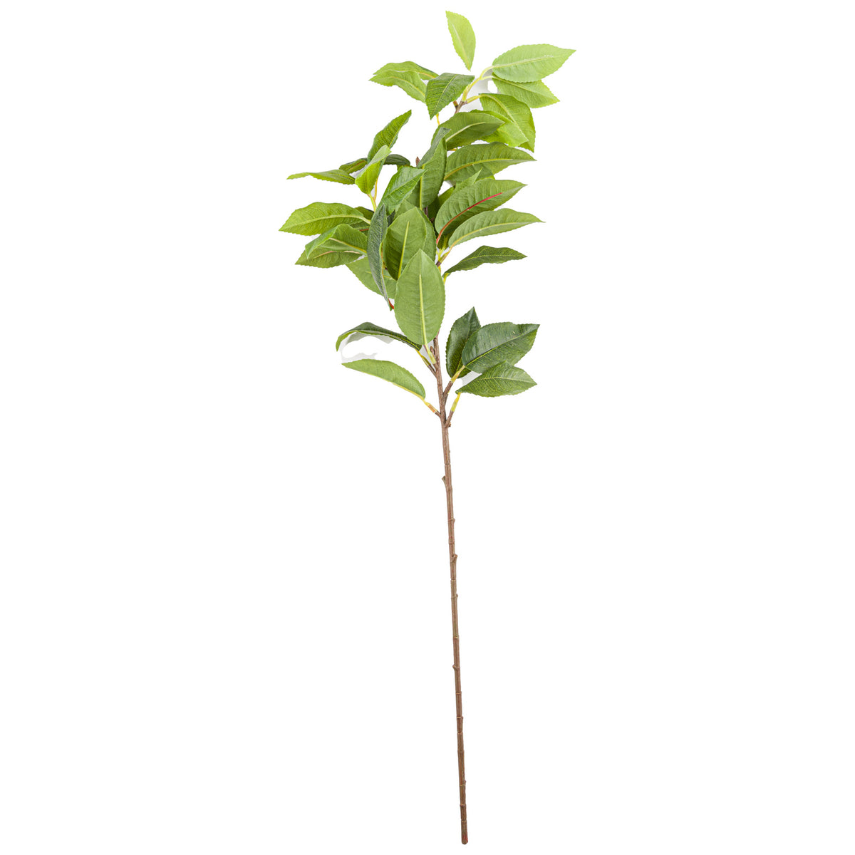 Laurel Leaf Spray 60 cm